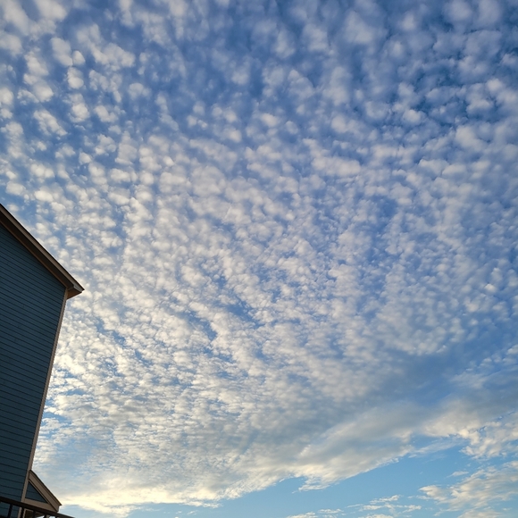 Meet Your Posher, Allie and Diane!! - Picture 8 of 8